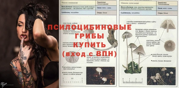 гашиш Аркадак