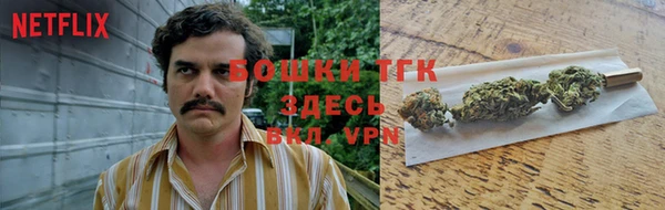 мет Арсеньев