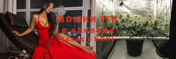 мет Арсеньев