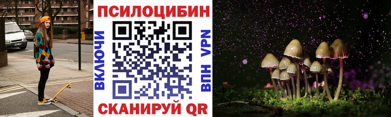Псилоцибиновые грибы Psilocybine cubensis  Купить где  Междуреченск 